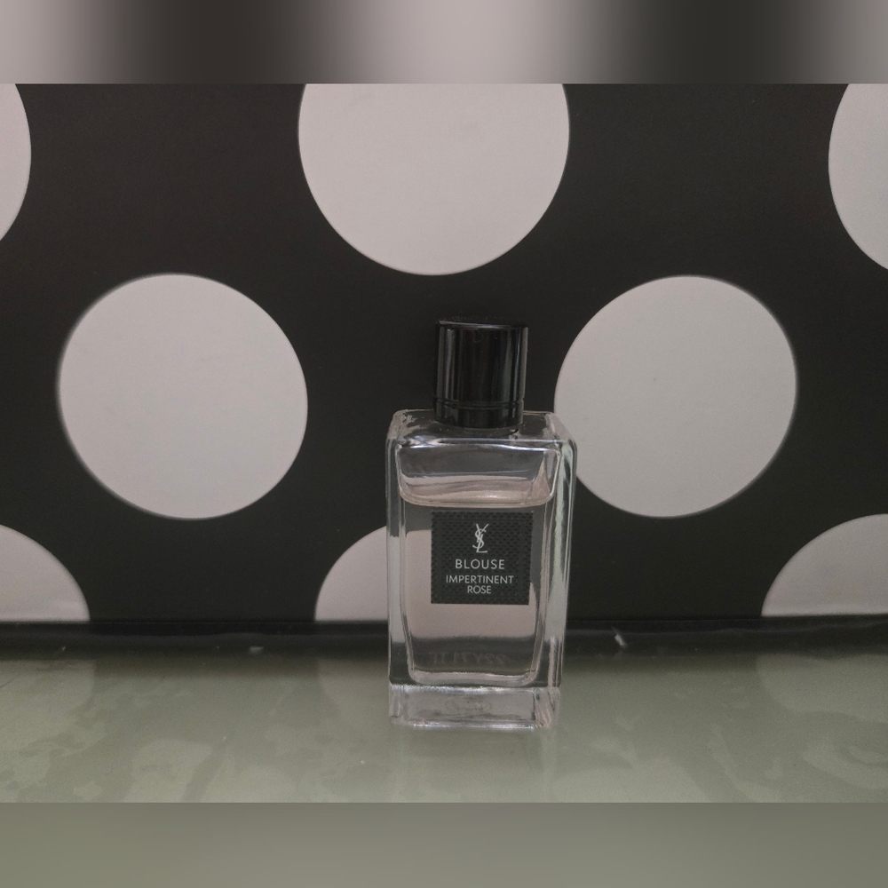 ✨️YSL Blouse MINI✨️